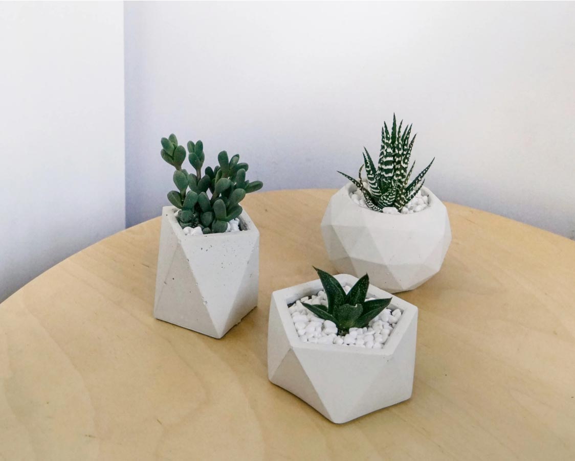 Concrete Plant Pots, image by sunnyflorists
